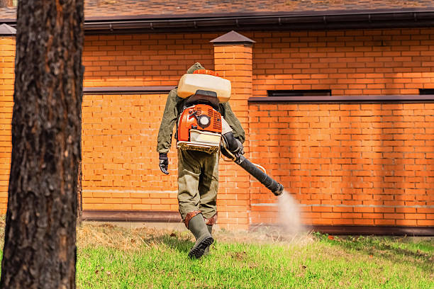 Trusted Termite Control service in East Kapolei, HI - Nex Pest Control